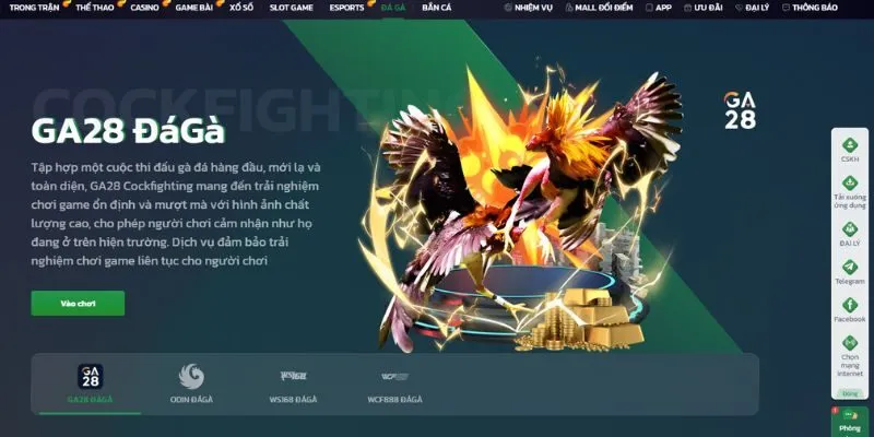 Sân chơi đá gà được nhiều người chơi yêu thích tại sảnh